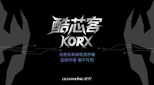 炒股配资门户网站 内存全面涨价! 国产品牌内存成为最佳选择