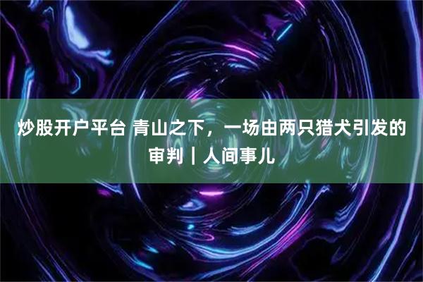 炒股开户平台 青山之下，一场由两只猎犬引发的审判｜人间事儿